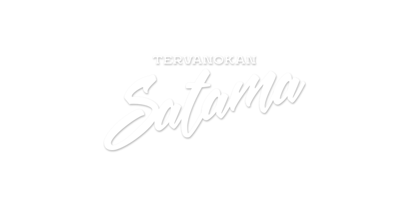 Tervanokan satama